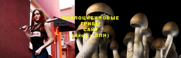сатива Абдулино