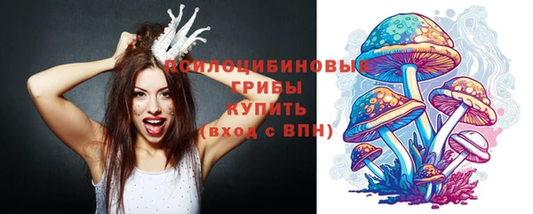 сатива Абдулино