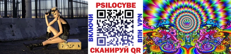 где купить   Касли  Псилоцибиновые грибы мицелий 
